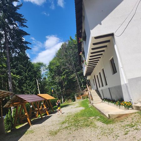 Cabana Valea Bradului Nucsoara  Bagian luar foto