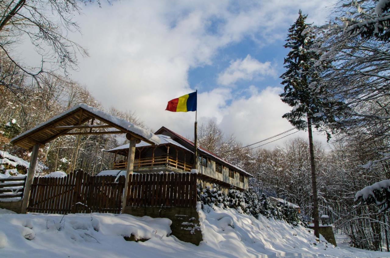 Cabana Valea Bradului Nucsoara  Bagian luar foto
