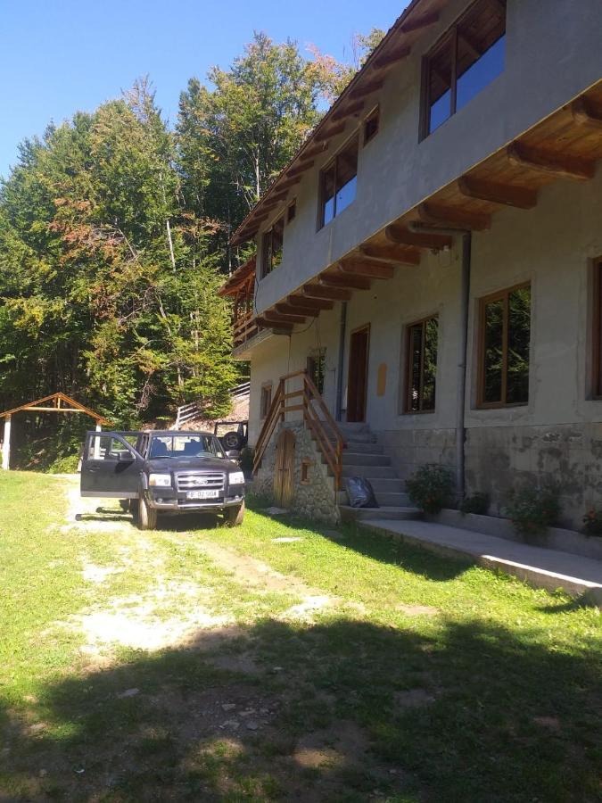 Cabana Valea Bradului Nucsoara  Bagian luar foto