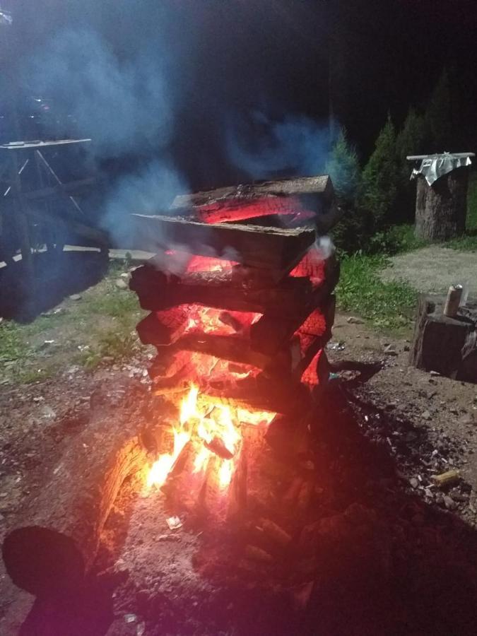 Cabana Valea Bradului Nucsoara  Bagian luar foto