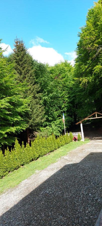 Cabana Valea Bradului Nucsoara  Bagian luar foto