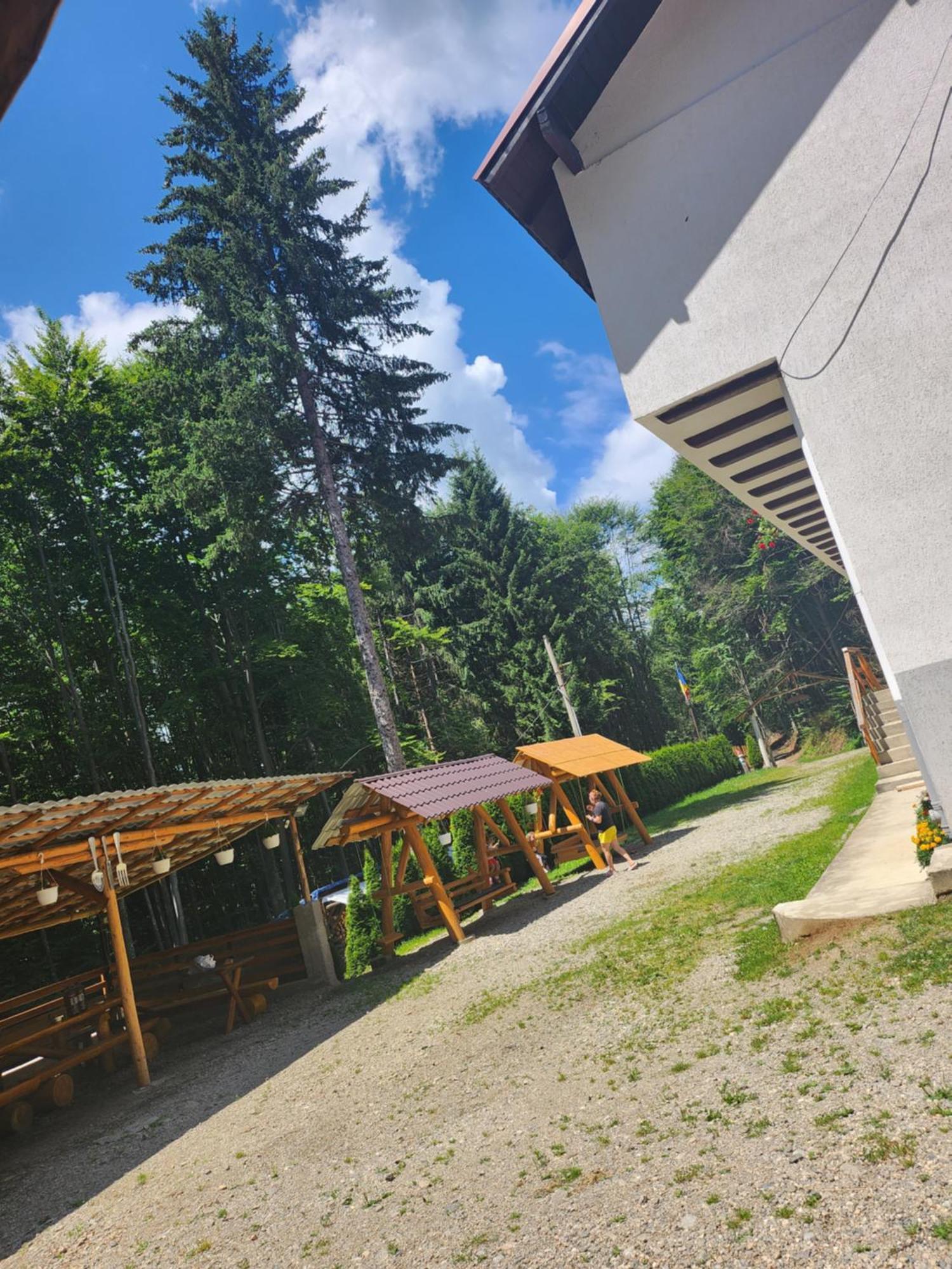 Cabana Valea Bradului Nucsoara  Bagian luar foto